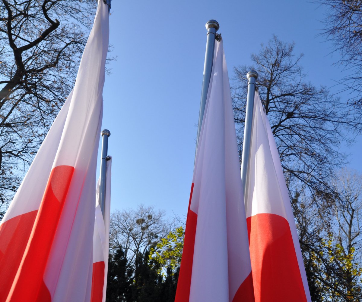 flagi biało czerwone na tle drzew i nieba