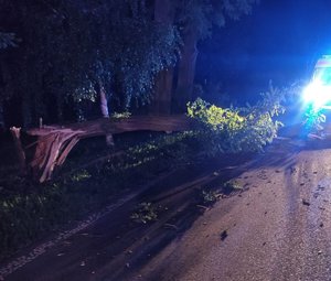 złamane drzewo na jezdni w tle karetka pogotowia