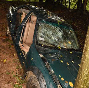 rozbity zielony samochód oparty o drzewo w lesie