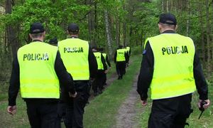 policjanci idący do lasu