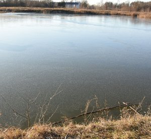 zbiornik wodny w dzień, na cienkim lodzie patyk