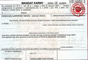 mandat karny na 2500 złotych