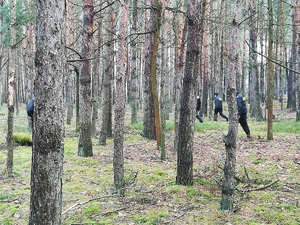 policjanci w kompleksie leśnym