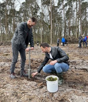 dwóch mężczyzn sadzących drzewo