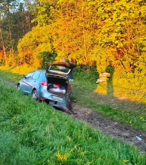 samochód z otwartym bagażnikiem stojący w rowie