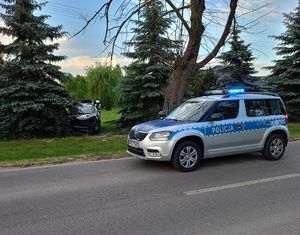 rozbita granatowa toyota między drzewami na ulicy radiowóz