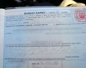 mandat karny na 5 tysięcy złotych