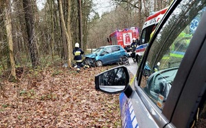 służby na miejscu kolizji drogowej