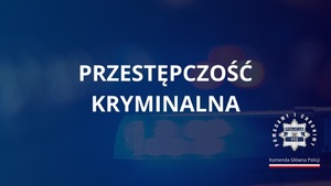 Plansza z napisem Przestępczość kryminalna i logo policji