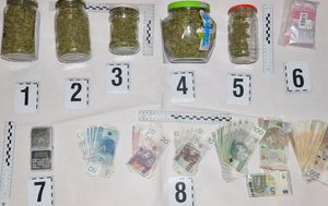 susz marihuany w słoikach obok pieniądze w banknotach  o różnych nominałach