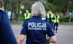 grupa policjantów na ulicy