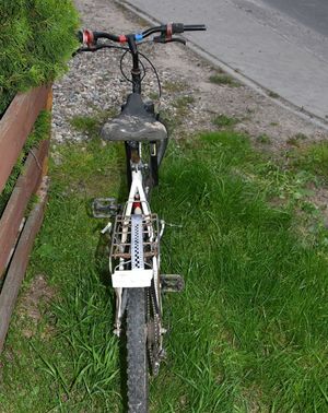 biały rower