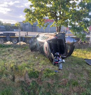 Honda leżąca na boku obok drzewa