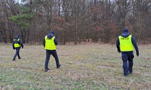 policjanci idący po polu w las