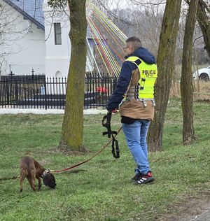 pies z policjantem przewodnikiem