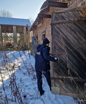 policjantka zaglądająca do starego budynku