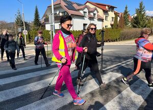 grupa osób z kijkami do nordic walking przechodząca po przejściu