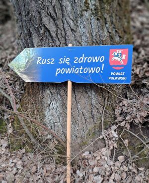 kolorowy drogowskaz z napisem Rusz się zdrowo powiatowo