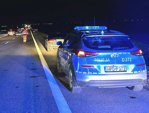 radiowóz na drodze a przed nim samochód osobowy  w tle jadące drogą s12 pojazdy