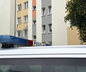lampa na radiowozie z napisem policja w tle blok mieszkalny