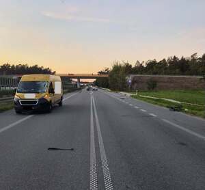 żółty bus na drodze