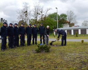 Sadzenie dębu przed budynkiem KPP w Tomaszowie Lubelskim