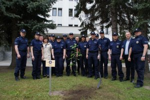 Sadzenie dębu przed budynkiem KMP w Zamościu